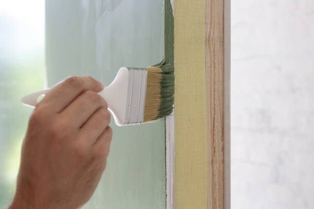 Best Basement Mold Removal  in Chlicothe, IL