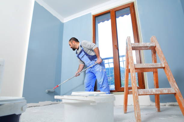 Best Mold Remediation for Healthcare Facilities  in Chlicothe, IL