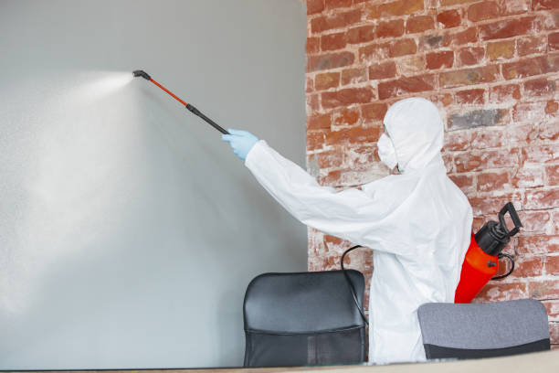 Best Residential Mold Inspection & Testing  in Chlicothe, IL