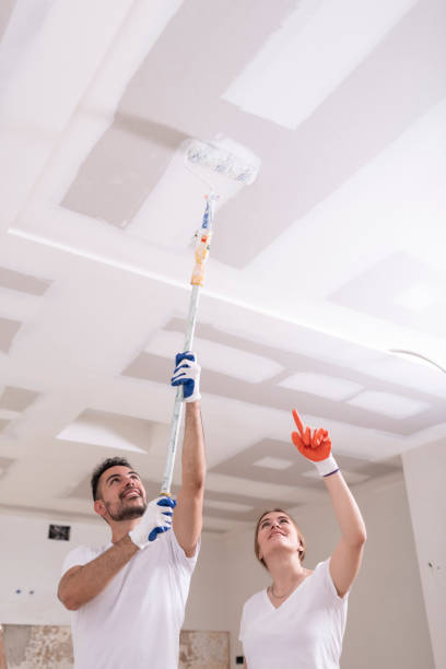 Best Commercial Mold Inspection  in Chlicothe, IL
