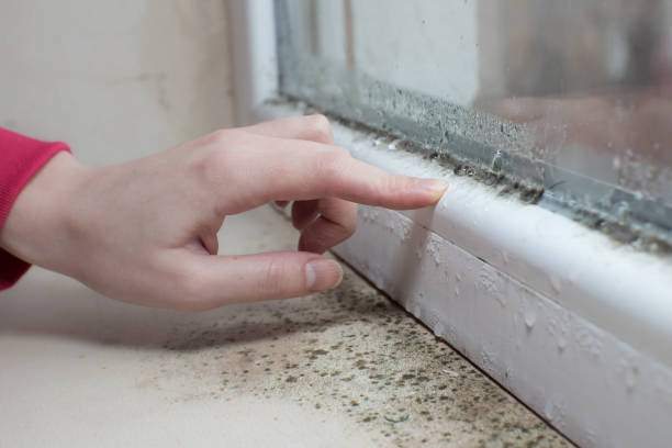 Best Indoor Air Quality Assessment  in Chlicothe, IL