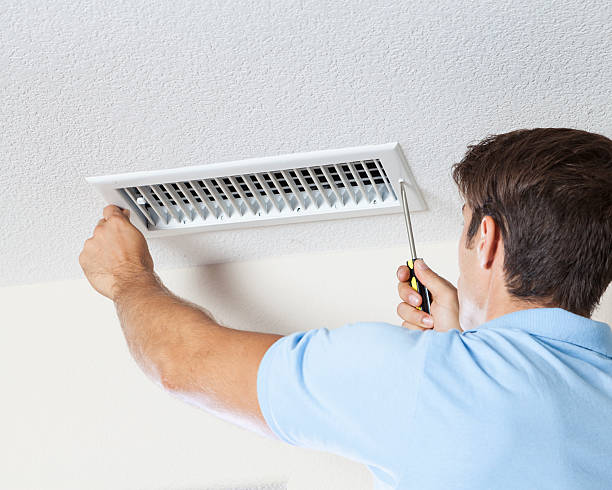 Best Attic Mold Removal  in Chlicothe, IL