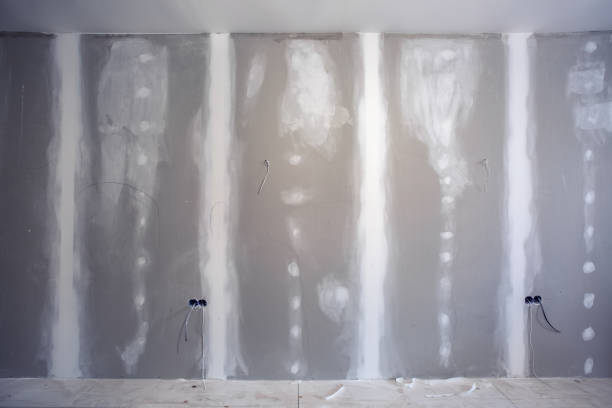 Best Biohazard Mold Removal  in Chlicothe, IL